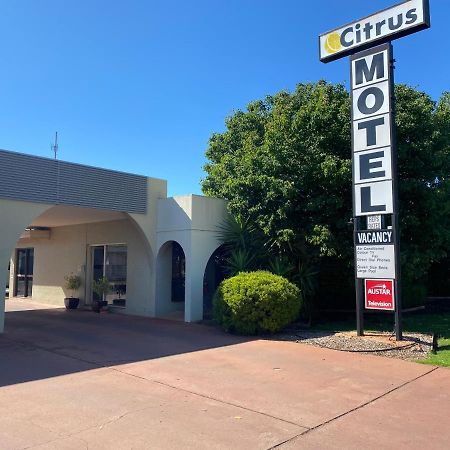 Citrus Motel Griffith Luaran gambar