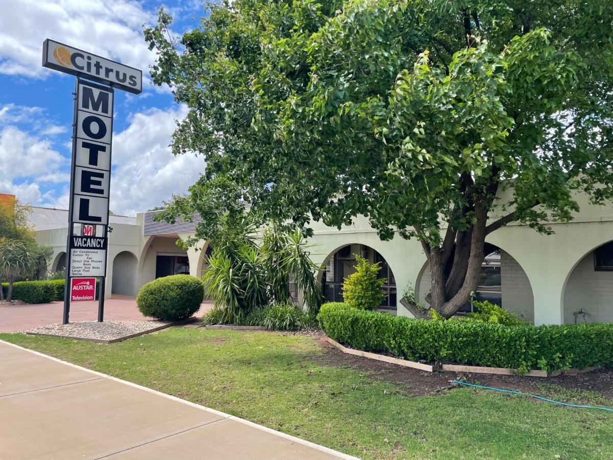 Citrus Motel Griffith Luaran gambar
